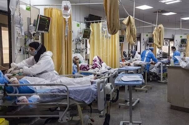 ۲۰ بیمار کرونایی در استان بوشهر بستری هستند