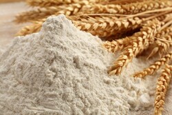 کمبود ۲۰ درصدی آرد در شهرستان سامان