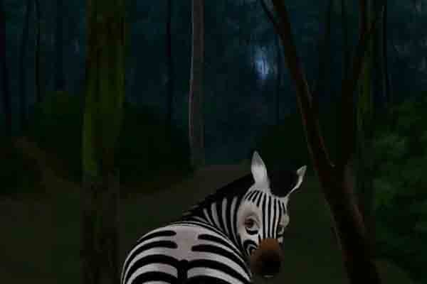 نمایش انیمیشن «سیاه یا سفید» در سرزمین عجایب فرانسه