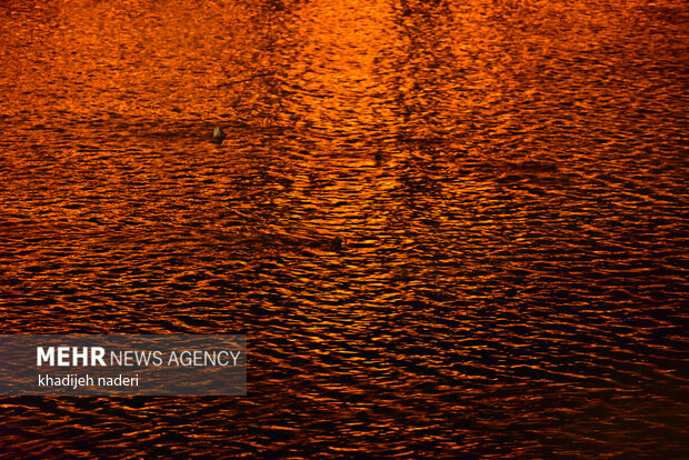 Zayanedeh Rood river at night