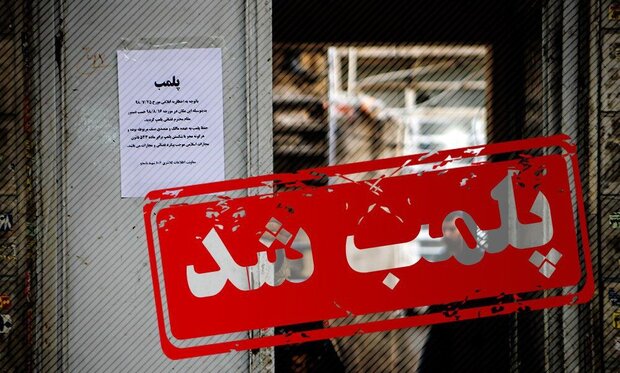 پلمب ۷۸ واحد عرضه غیرمجاز گوشت در شیراز
