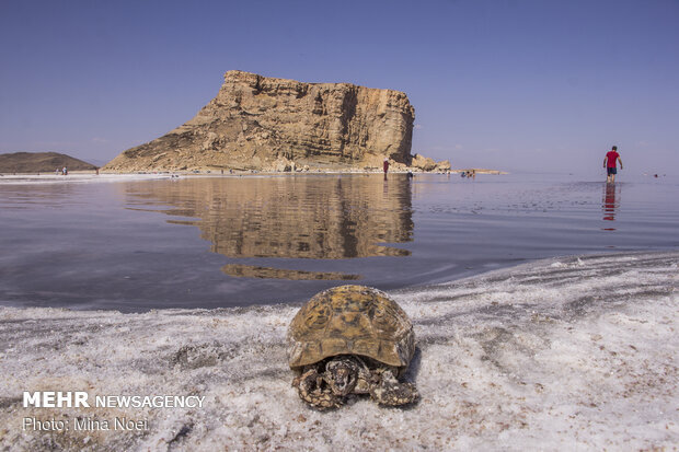 تحقیق و تفحص از ستاد احیای دریاچه ارومیه 