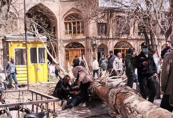 حادثه در اثر وزش تندباد/ یک درخت روی شهروند تبریزی سقوط کرد
