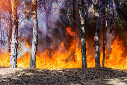 5,000 under evacuation orders as New Mexico wildfire rages