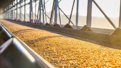 گندم و روغن خام از عمده‌ترین محصولات وارداتی کشاورزی کشور هستند
