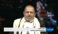 عضو الفريق الوطني المفاوض: المجلس الرئاسي اليمني باطل