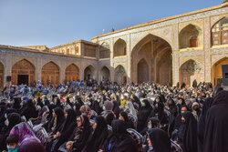 جشن ولادت کریم اهل بیت(ع)، در مسجد نصیرالملک شیراز