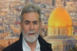 زياد النخالة: شعبنا الفلسطيني ما زال على عهد المقاومة وأكثر حيوية على مواجهة الاحتلال