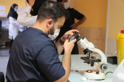 راه‌اندازی نخستین آزمایشگاه قارچ شناسی در اردبیل