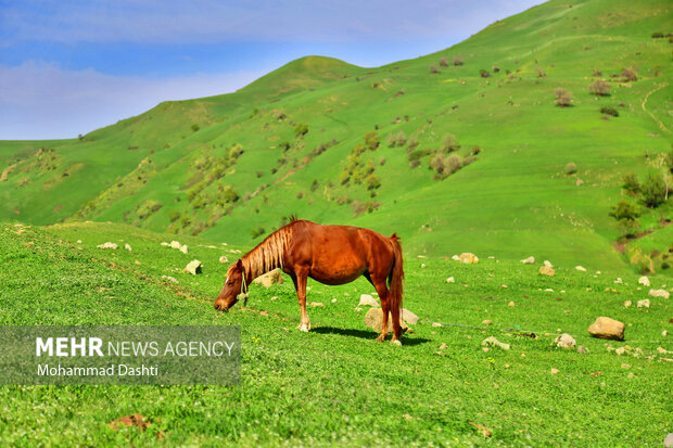 Beauties of nature in Muran in NW Iran