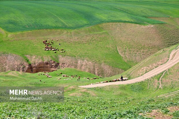 Beauties of nature in Muran in NW Iran