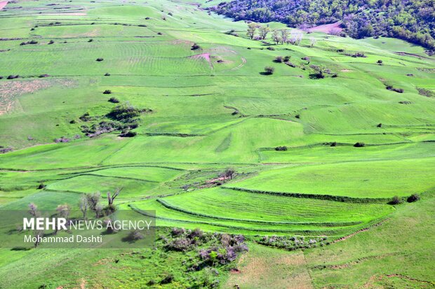 Beauties of nature in Muran in NW Iran