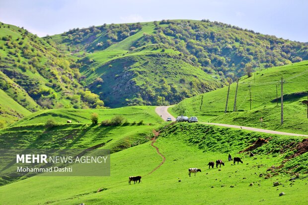 Beauties of nature in Muran in NW Iran