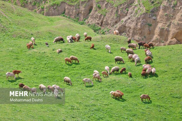 Beauties of nature in Muran in NW Iran