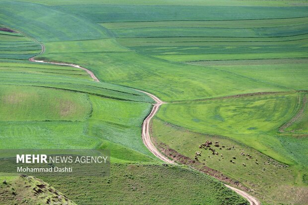 Beauties of nature in Muran in NW Iran