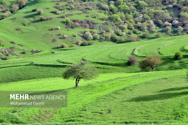 Beauties of nature in Muran in NW Iran