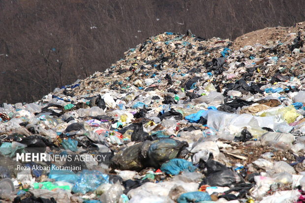 پلاستیک بلای جان محیط زیست شده است