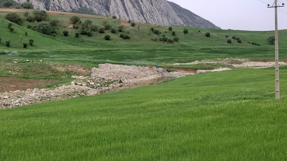 هدر رفت آب در کشاورزی کرمانشاه/ راه‌های نوین کشت دنبال شود