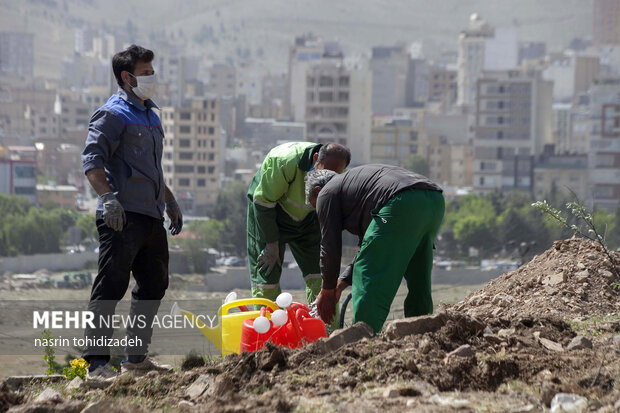 کاشت نهال بمناسبت روز هوای پاک در کرمانشاه