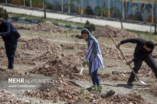 کاشت نهال بمناسبت روز هوای پاک در کرمانشاه