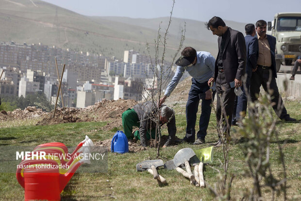 کاشت نهال بمناسبت روز هوای پاک در کرمانشاه