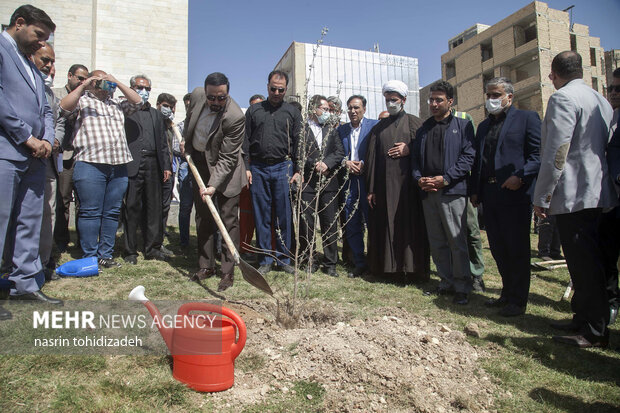 کاشت نهال بمناسبت روز هوای پاک در کرمانشاه