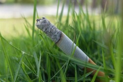 «نه به رها سازی فیلتر سیگار در طبیعت» در منطقه ۱۳