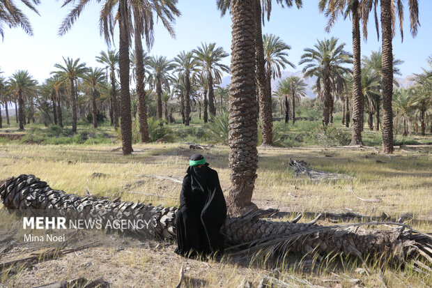 محمود دهقانی ,تعزیه خوانی برای چند نسل‌