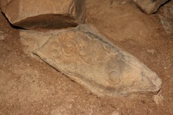 کشف صدها قطعه سنگ دارای نقش برجسته در کاخ«تچر» تخت جمشید
