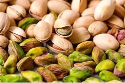 Iran's pistachio exports to Spain accelerated by 58% in 2022