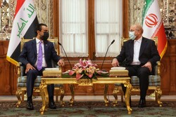 روسای مجالس ایران و عراق دیدار و گفتگو کردند