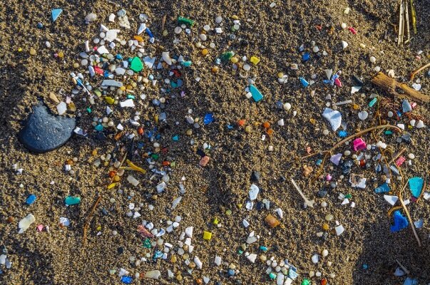 ریزپلاستیک ها پاتوژن‌های مرگبار خشکی را به عمق دریاها می‌برند