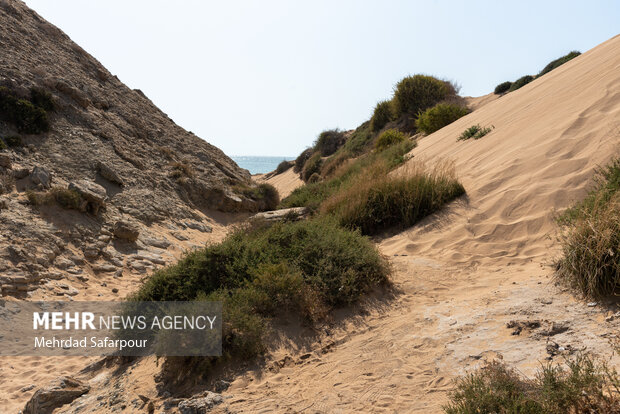 Pars Jonoubi beautiful beaches