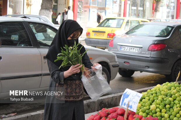 بازار گیاهان بهاری کرمانشاه