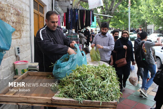 بازار گیاهان بهاری کرمانشاه