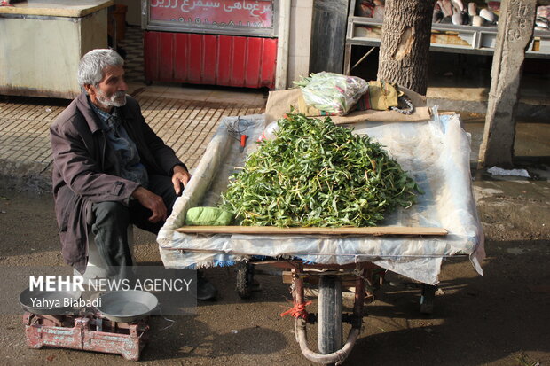 بازار گیاهان بهاری کرمانشاه