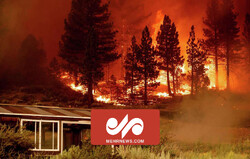 آتش سوزی گسترده در جنگل‌های نیومکزیکو