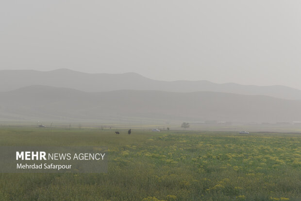 شرق مازندران در محاصره ریزگردها/ شعاع دید کاهش یافت
