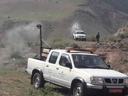 ‍ مبارزه با ملخ مراکشی در ۳۱۰ هکتار از اراضی شهرستان آزادشهر
