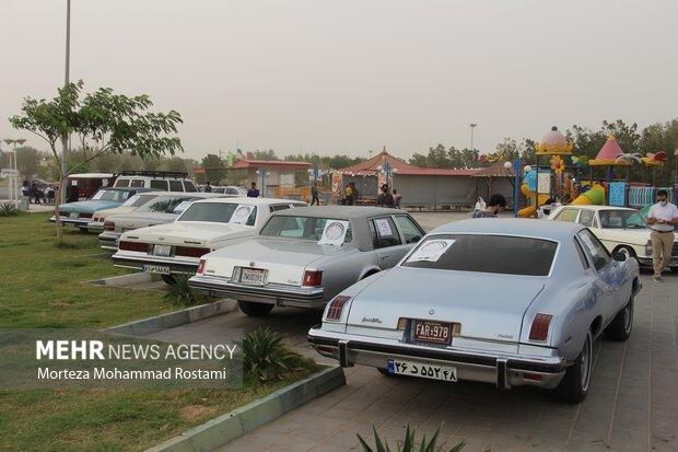 Buşehr'de kasik araç turu