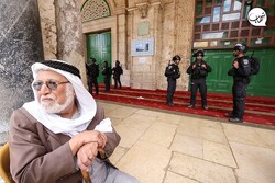 تعرض بیش از ۹۵۰ شهرک نشین صهیونیست به مسجد الاقصی