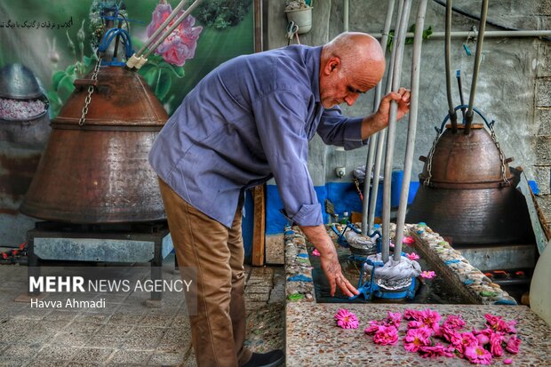 Iran rosewater festival valuable enough to be on UNESCO list