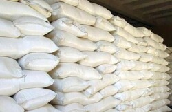 کشف ۵۳۰ کیسه آرد یارانه‌ای قاچاق در کرمانشاه