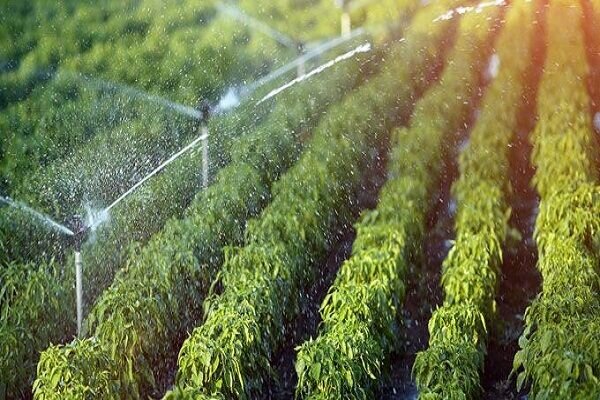 تهیه سند راهبردی آب کشاورزی در شهرستان همدان