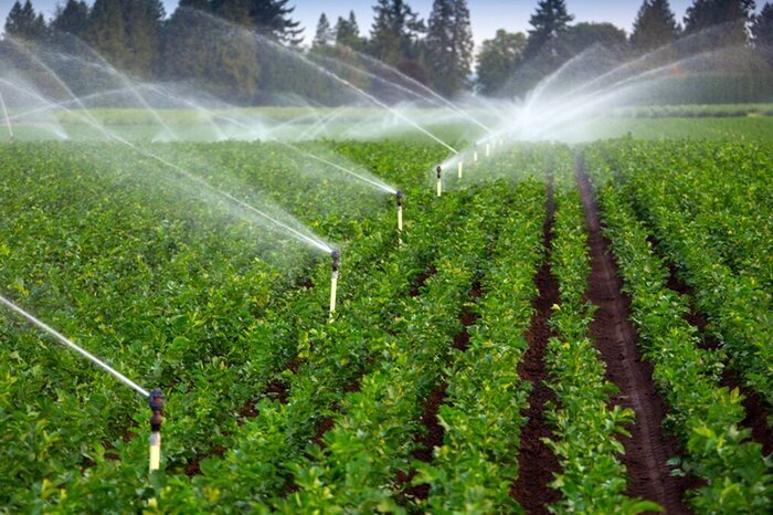 ۱۵۰۰ هکتارزمین کشاورزی خوزستان به سامانه نوین آبیاری مجهز می‌شوند