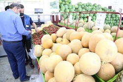قیمت میوه و تره‌بار امروز دوشنبه ۳۰ خرداد ۱۴۰۱