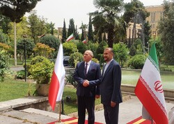 وزیر امور خارجه لهستان با امیرعبداللهیان دیدار کرد