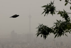 تمهیدات اورژانس تهران برای آلودگی هوا در میادین اصلی شهر