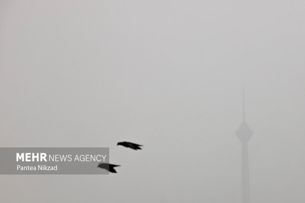 آلوده‌ترین و سالم‌ترین مناطق تهران کجاست؟