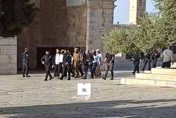 یورش صهیونیست ها به مسجد الاقصی/ بازداشت ۴ فلسطینی در جنین